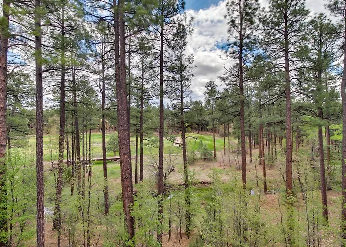 Ferienhaus Top-rated Torreon Community! Deck & Forest Views! *