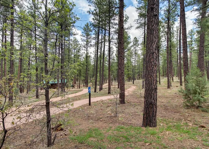 Top-rated Torreon Community! Deck & Forest Views! * Show Low